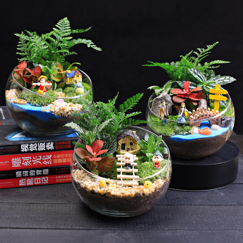 15cm切口苔藓微景观DIY材料包 创意玻璃球生态瓶子摆件礼品物套装