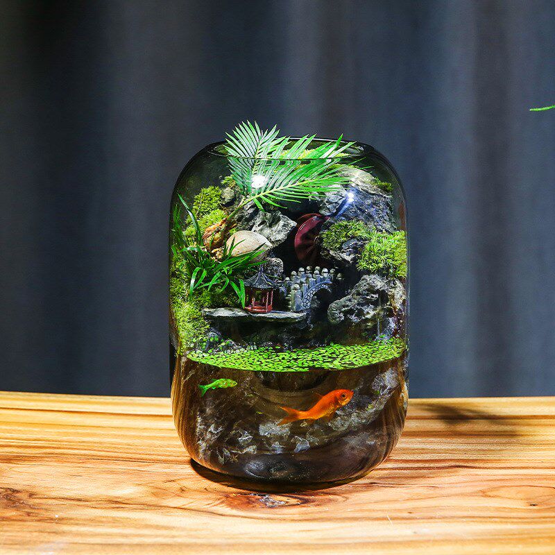 石上清泉流水款养鱼缸真植物苔藓微景观生态瓶办公室成品室内送礼