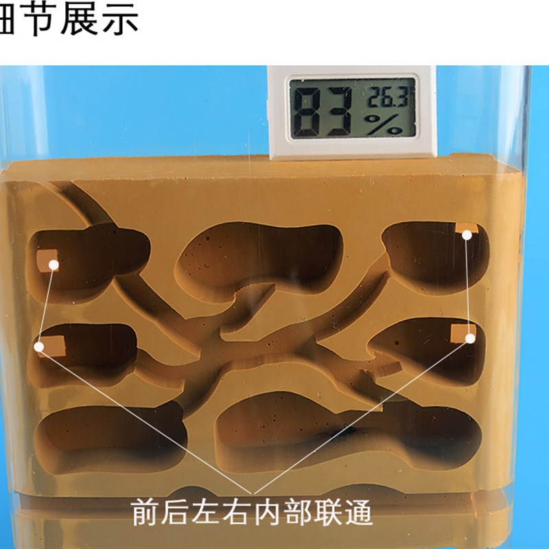 六代生态蚁巢 学生宠物 活体工坊蚁后石膏土雕刻亚克力蚁巢窝城堡