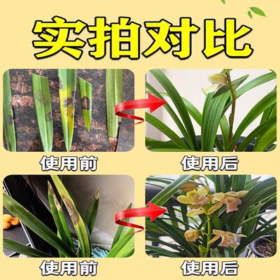 兰花营养液多箭素生根发芽肥料专用肥兰科活化剂干尖黄叶爆花箭素
