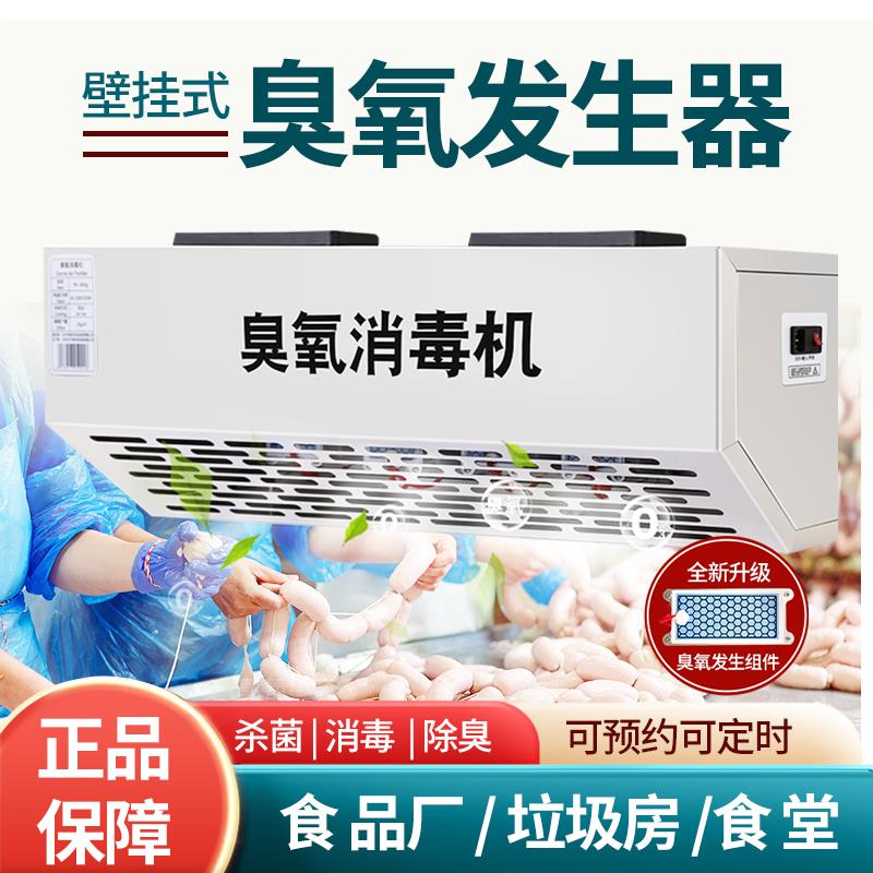壁挂式臭氧消毒机发生器垃圾房食品厂车间除臭杀菌医用小型高浓度