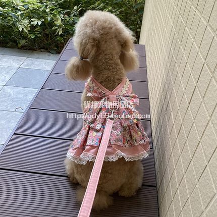 宠物狗狗背心式牵引绳新款可爱碎花狗裙子小型犬泰迪比熊狗牵引衣