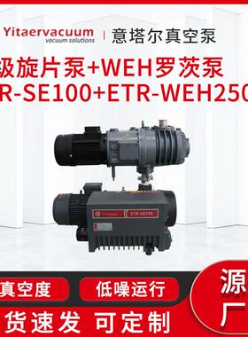 供应级旋片泵+WEH罗茨泵\ETR-SE100+ETR-WEH250真空泵定制厂家