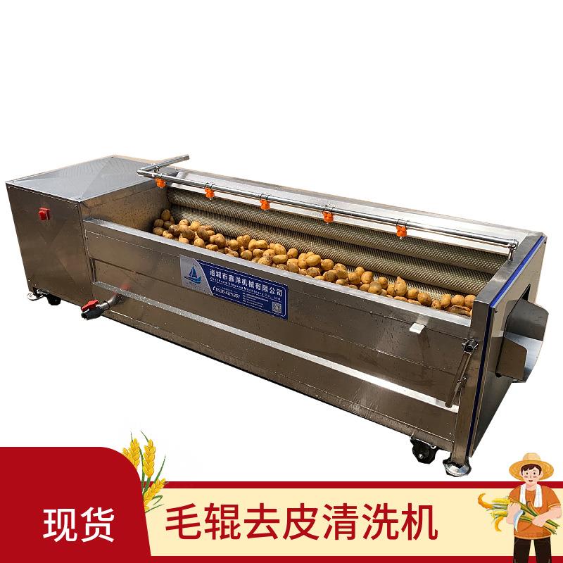 红薯脱泥去皮清洗机板蓝根中药材毛辊清洗机