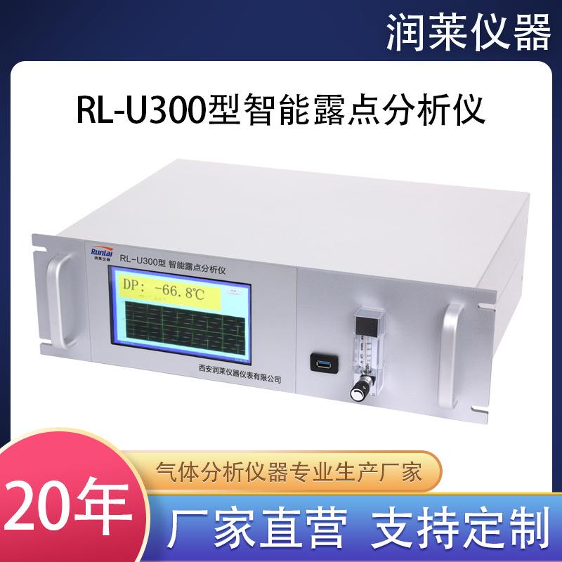 润莱微量水分仪智能露点仪在线露点仪五氧化二磷分析仪