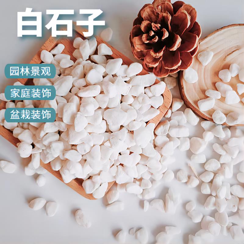 浙江白石子庭院铺路鹅卵石铺地阳台装饰小石头园林景观天然纯白