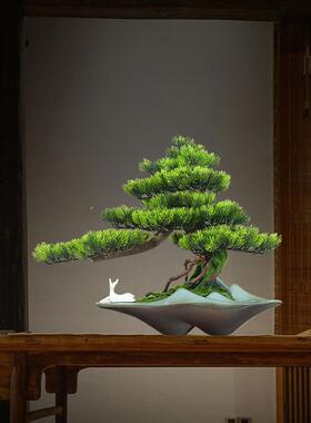 假松木图加绿色植物装饰模拟室内盆栽彷生绿化迎宾松木盆景