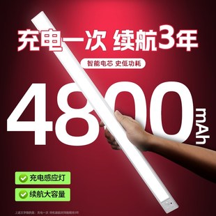 充电感应灯超长续航大容量入户门自动玄关灯带自粘感应无线免插电