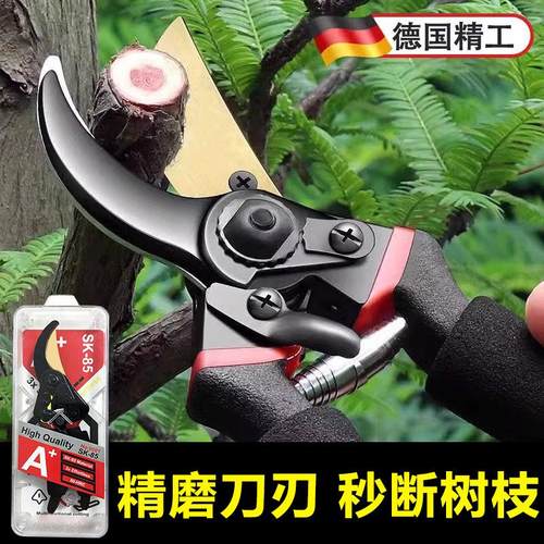 塑壳包装园艺剪刀果树修枝剪剪树枝专用剪刀德国工艺修剪枝花艺剪