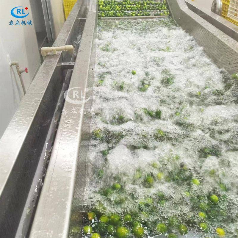 供应霸王花清洗机气泡喷淋式火龙果花清洗设备全自动蔬菜冷却机
