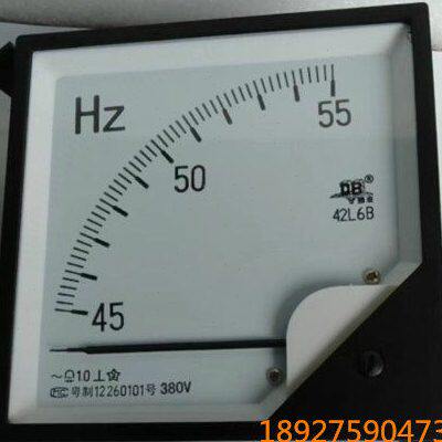 广东德庆电表厂DB德表 交流频率表42L6B-45-55HZ 100V 220V 380V