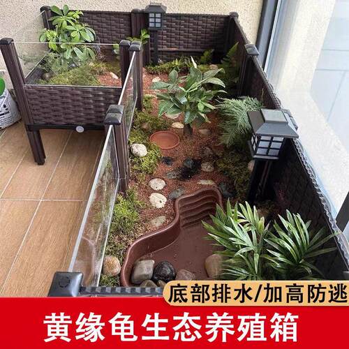 黄缘龟专用饲养箱陆龟半水龟缸生态造景箱 安缘台缘养殖箱
