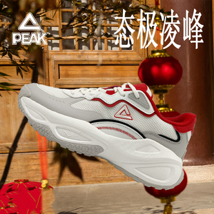 匹克新春款男款态极凌峰运动老爹鞋复古低帮系带运动鞋轻便休