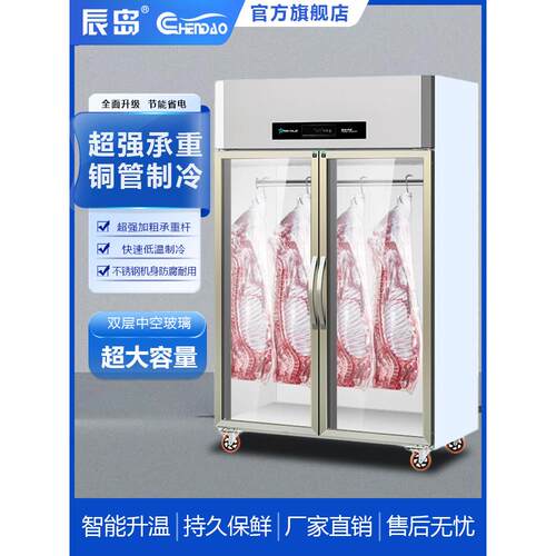 冰动力挂肉柜商用牛羊肉保鲜展示柜冷藏鲜肉冰柜立式冷冻柜排酸柜