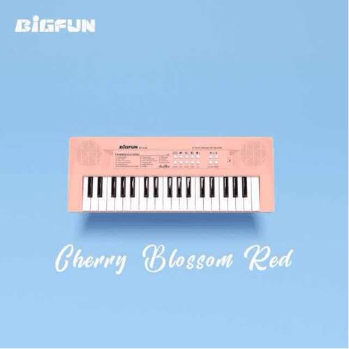 BIGFUN电子琴动手动脑启蒙小钢琴37键可携式款式带琴谱数字贴小话