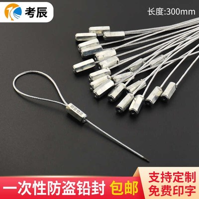 一次性防盗铅封钢丝吊牌扎带集装箱物流运输油罐车封条锁扣
