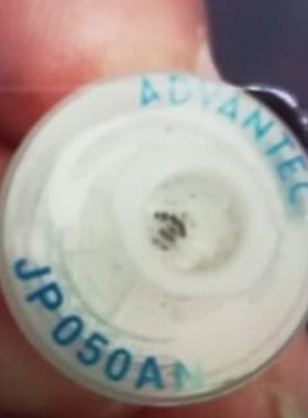 MSA/梅思安 801582 气体检测仪测爆仪探杆内过滤器 JP050AN