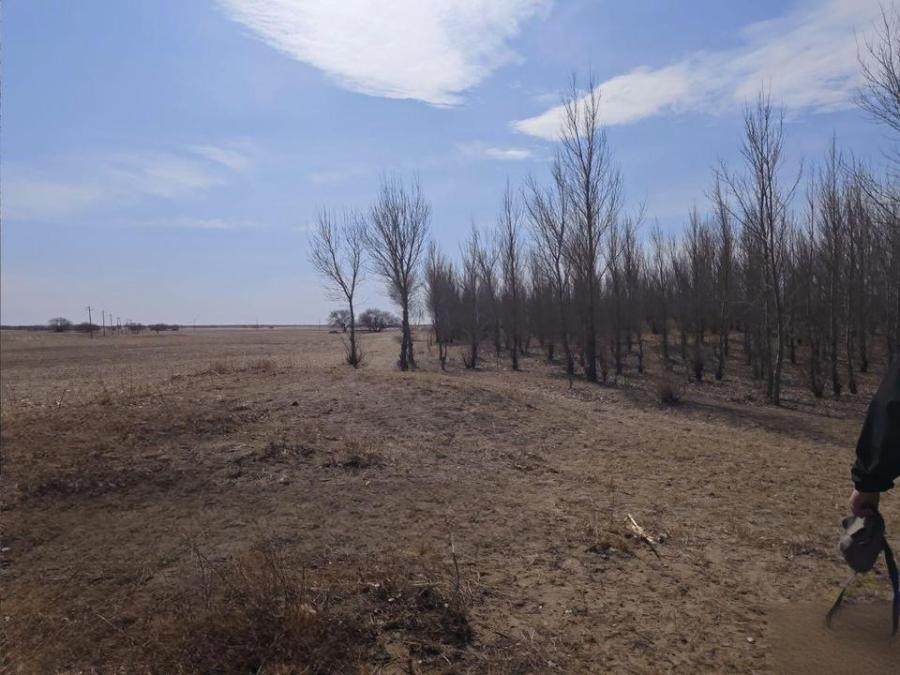 1月24日兴安盟林地使用权及地上林木网络拍卖公告