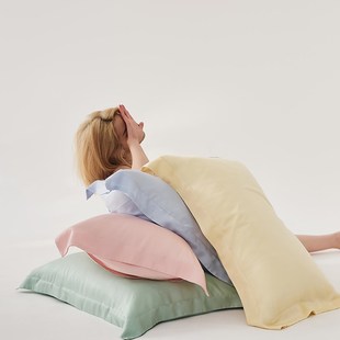 单枕套4874简约纯色冰丝一对装 100支莱赛尔天丝凉感枕头套夏季