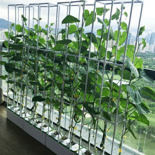 绿淘吧家庭室内阳台种菜花盆种植箱槽水培蔬菜无土栽培设备全自动