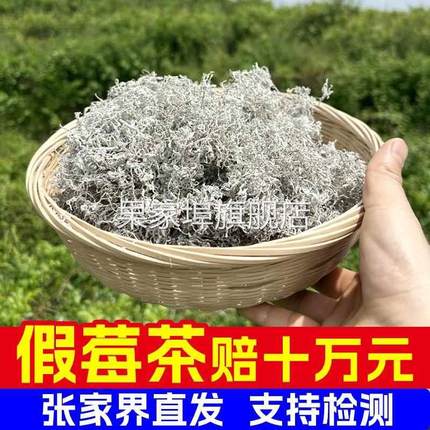 永顺莓茶官方旗舰店张美丽正品张家界莓茶特级野生龙须霉茶湖南永