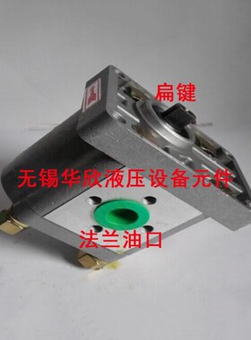 议价齿轮泵CBN-F312 F314 F316 F320 F325 F310 F306 F304 F308