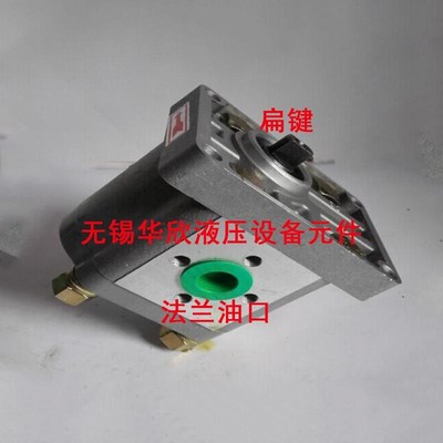 议价齿轮泵CBN-F312 F314 F316 F320 F325 F310 F306 F304 F308