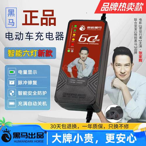 皖徽黑马自动断电智能电动车电瓶充电器48V60V72V84V30A铅酸电池