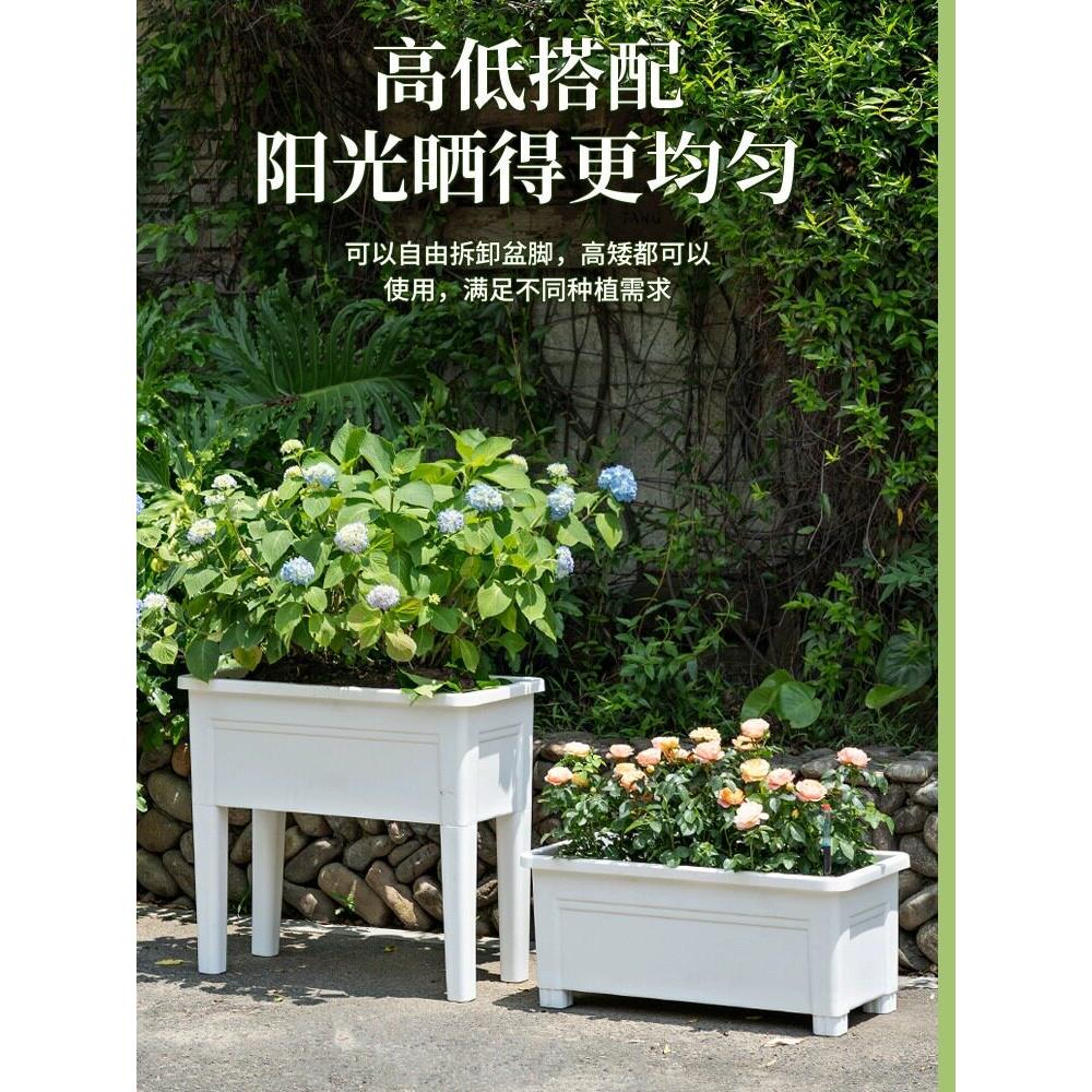 高脚种菜盆懒人自吸水家庭阳台上种菜的盆庭院种植箱家用塑料菜盆