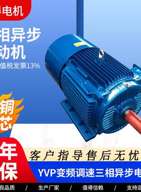 YVP-132M2-6-5.5YVP-160M-6-7.5变频调速三相异步电动机铸铁电机