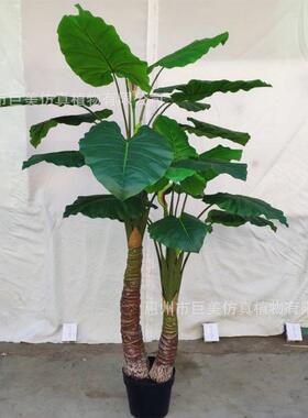 仿真仙芋盆栽仿真海芋喜林芋室内装饰仿真滴水观音彩芋绿植