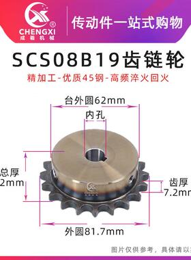 SCS高品质成型孔链轮4分19齿 08B19T外径81.7 精车内孔键槽顶丝