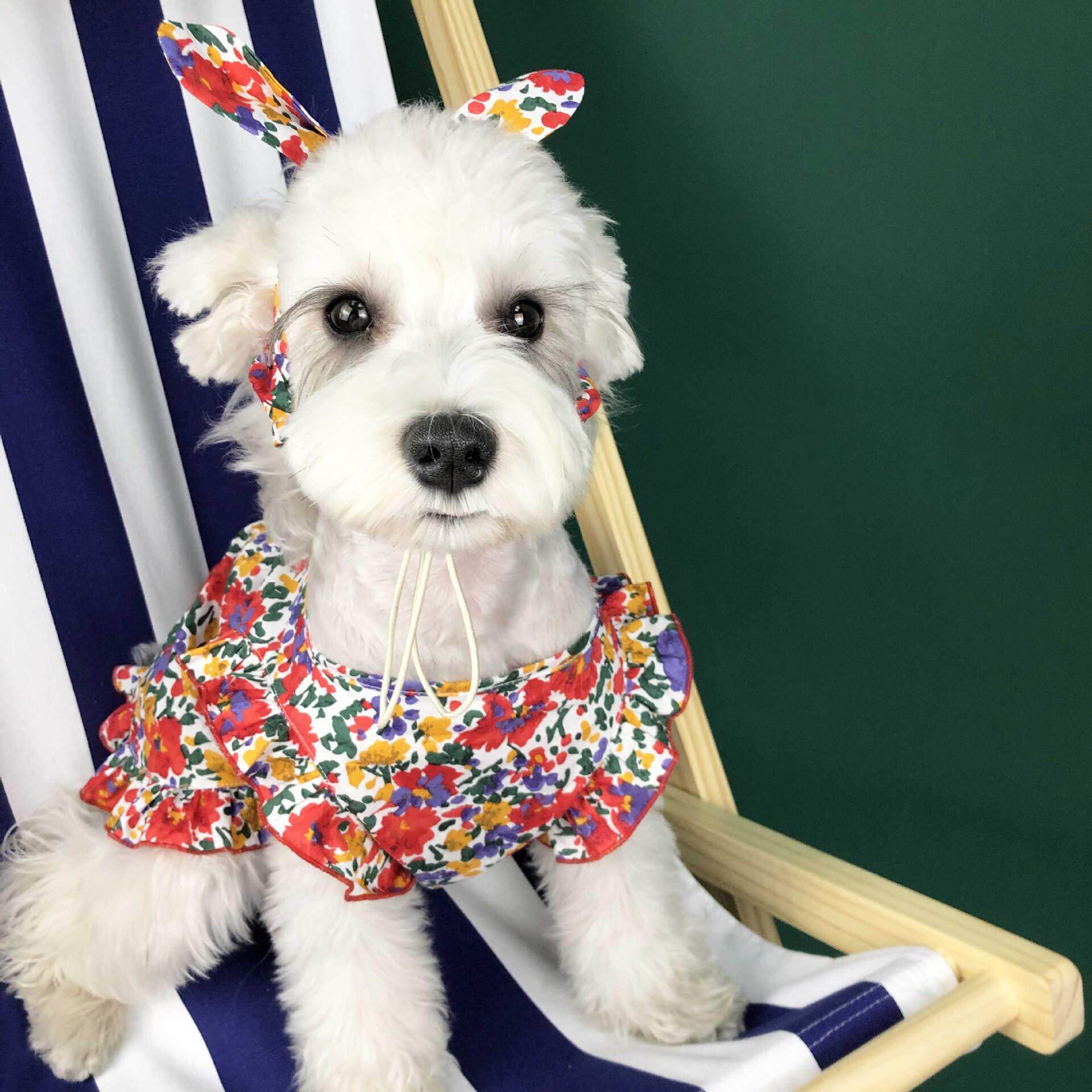 母狗狗衣服夏季薄款中小型犬可爱公主女泰迪雪纳瑞连衣裙宠物裙子