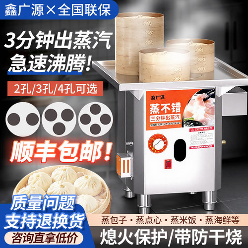 鑫广源三轮车户外摆摊燃气蒸包炉