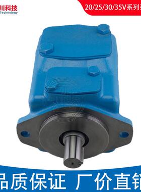 威格士叶片泵20V25V35V45V液压泵2520V3520V4535V高压双联油泵