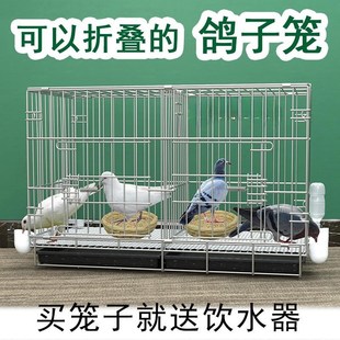 鸽子笼养鸽子笼养殖笼家用繁殖笼配对笼大号新型鸽舍鸽子笼子