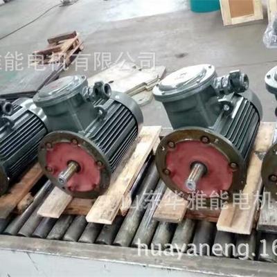 YBX3VPEJ-355L1-4-315刹车电动机EXD1带煤安证YBX3电机低温润滑脂