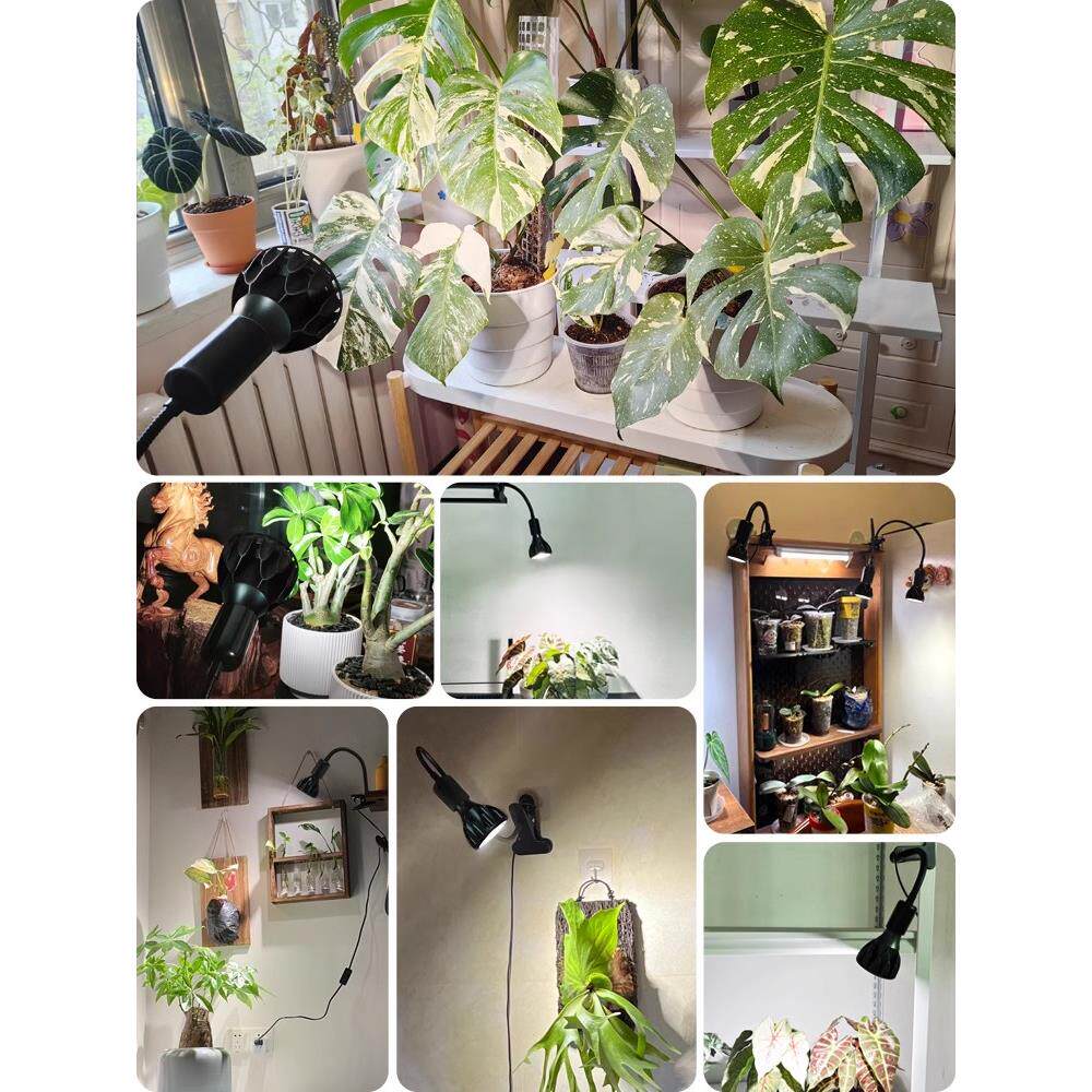 全光谱植物补光模拟日光室内绿色植物盆栽根夹式家用植物生长灯