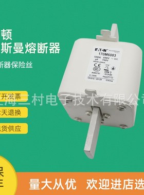 全新原装快速熔断器保险丝170M6083 170M6084 170M6103 170M6108