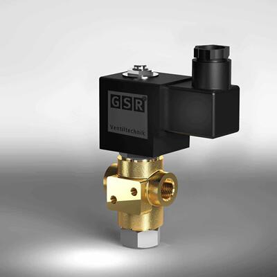 GSR电磁阀线圈 K0510139 DC205V G01604999 G075 7544A/1002/.012