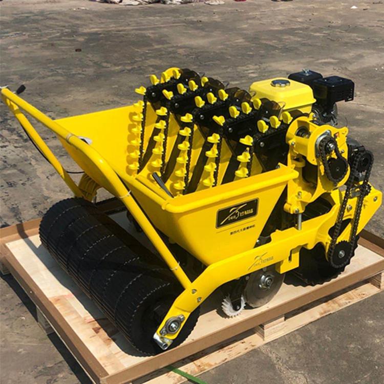 新款大蒜播种机多功能大蒜点播机手推汽油种蒜机播种均匀效果好