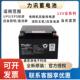 Netion力讯蓄电池NP XA1224CH 12V17AH24AH38AH40AH65AH100AH机房
