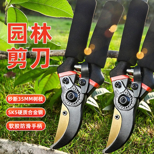 园艺剪刀修枝剪花剪树枝剪花艺专用工具园林修剪果树修剪花卉剪子