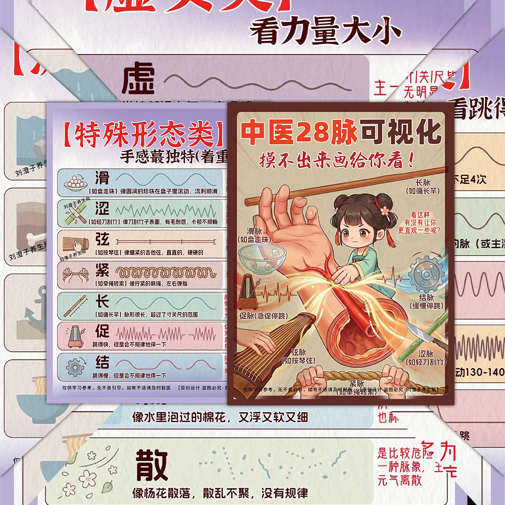 中医28脉图解可视化贴纸脉诊学习
