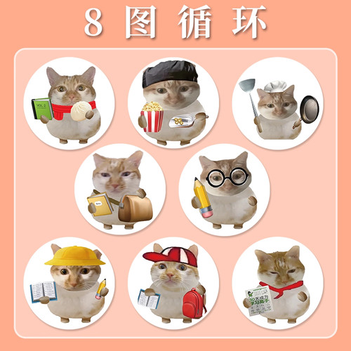 2000贴爆款写实猫meme卷卷贴纸