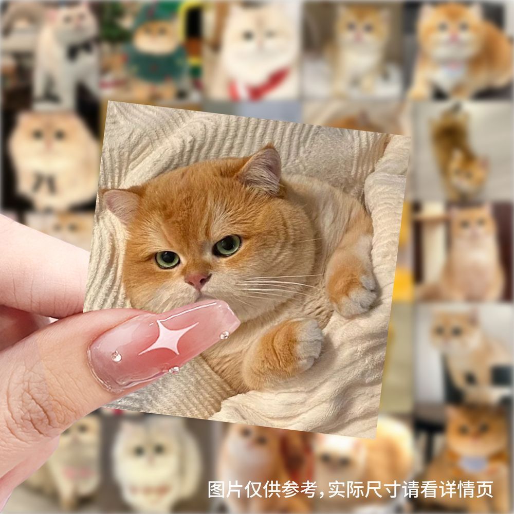 金渐层猫咪贴纸可爱萌宠猫猫周边桌面手机手账装饰贴画防水