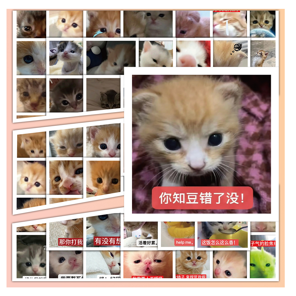 216张猫咪表情包贴纸可爱呆萌创意抽象沙雕趣味笔记本装饰DIY贴画