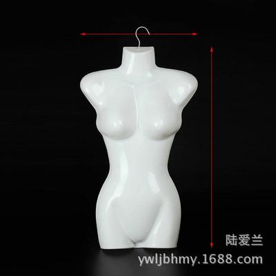 金鹰模特片半身模特胸片衣架衣服泳衣展示架衣挂塑料模特