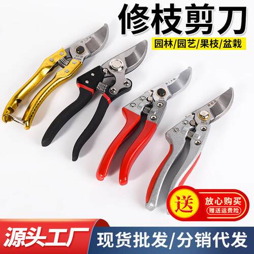 园林果枝剪刀sk5家用园艺园林省力修枝剪修花家用多功能摘果剪子