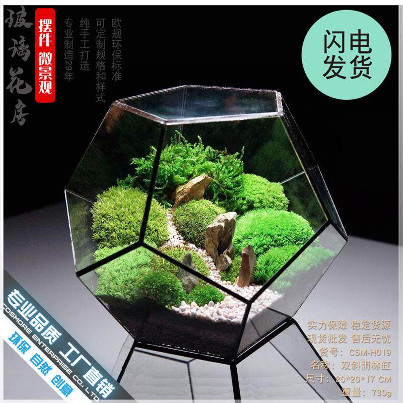 厂家直销爆款十二面体大玻璃花房绿植透明创意苔藓微景观多肉花盆
